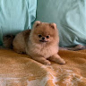 Meet your Posher, Leanne